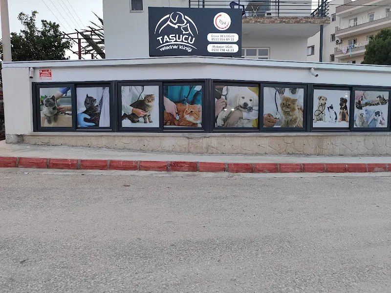 Taşucu Veteriner Kliniği foto 2