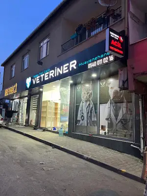 Tarabya Petcare Veteriner Muayenehanesi 7/24 Acil