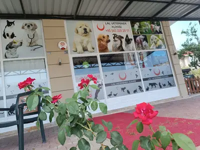 Kemer Lal Veteriner Kliniği