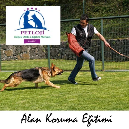PETLOJİ - Köpek Eğitim Merkezi foto 2