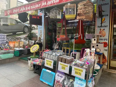 HIÇKIDIK PETSHOP AKVARYUM İZMİT