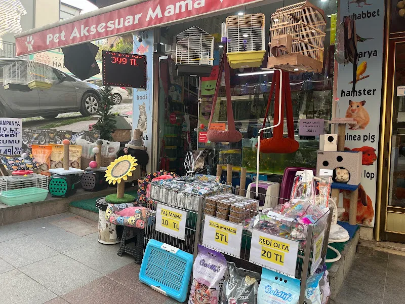 HIÇKIDIK PETSHOP AKVARYUM İZMİT foto 1