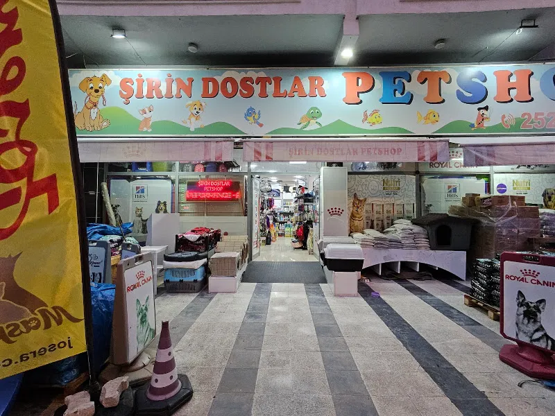 Şirin Dostlar Pet Shop foto 2