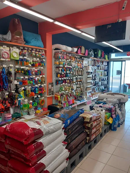 King Petshop Güzelbahçe foto 2