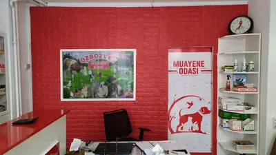 BOZÜYÜK VETERİNER KLİNİĞİ