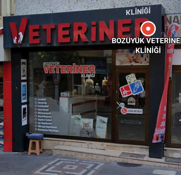BOZÜYÜK VETERİNER KLİNİĞİ foto 2