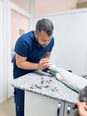 Delta veteriner kliniği