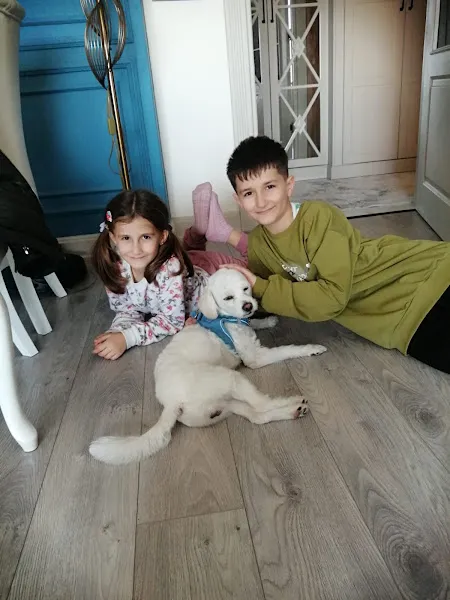 Delta veteriner kliniği foto 2