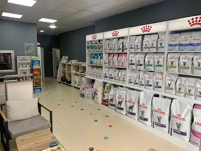 Motto Veteriner Kliniği