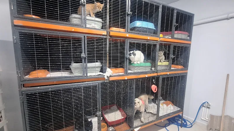 Acar Mutlu Veteriner Kliniği foto 2
