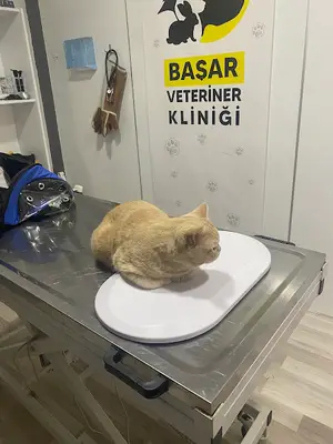 Başar Veteriner Kliniği