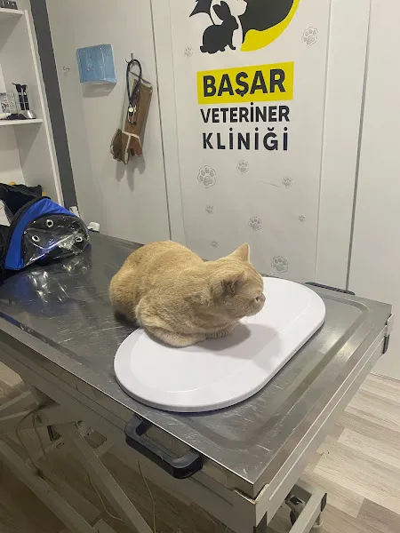 Başar Veteriner Kliniği foto 1