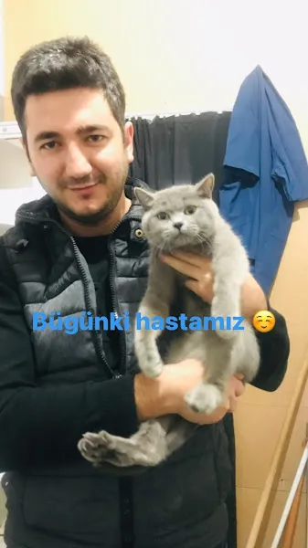 Şifa veteriner kliniği foto 2