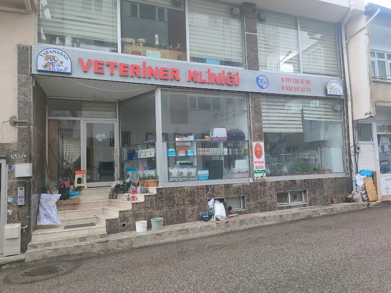 Yabanabat Veteriner Kliniği foto 1
