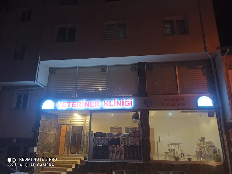 Yabanabat Veteriner Kliniği foto 2