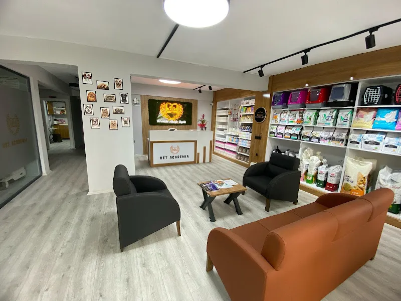 Uşak Vet Academia Veteriner Kliniği foto 2