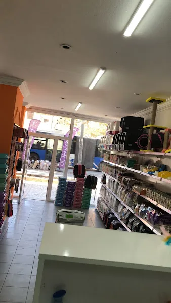 Pethiz Petshop foto 2