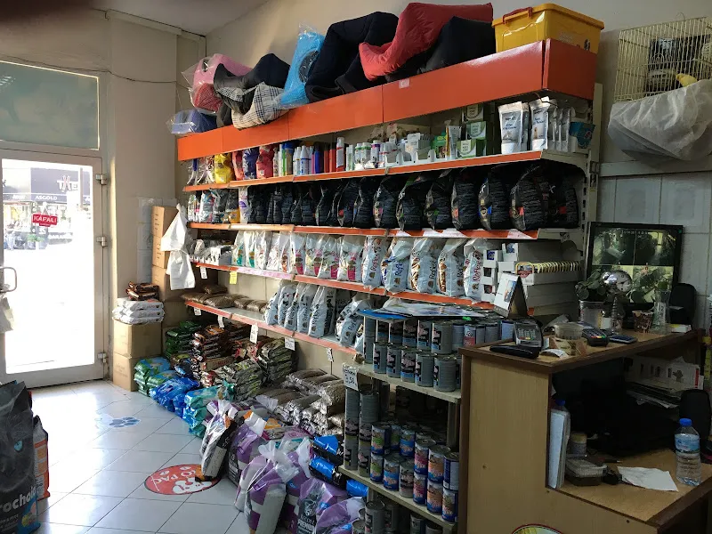 Tırtıl Pet Shop foto 2