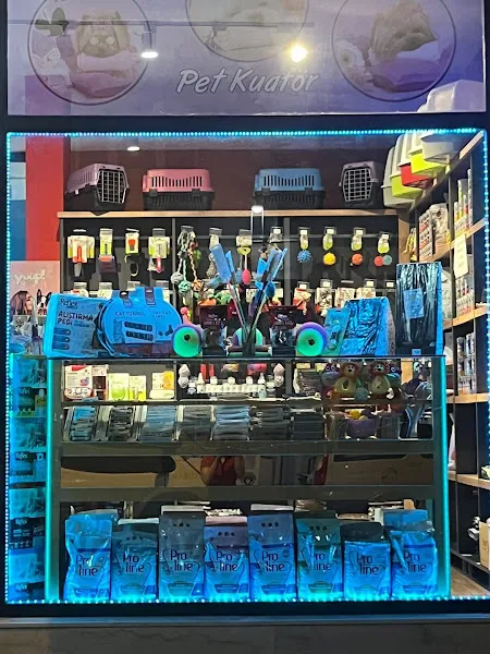 Belda Paws Evcil Hayvan Hizmetleri foto 2