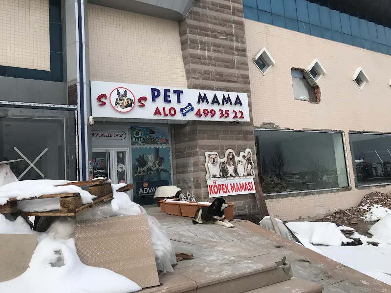 Sos Pet Shop - Otel foto 2