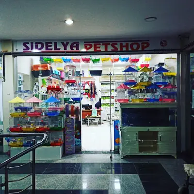 sidelya petshop Tatvan