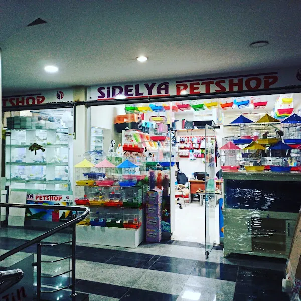 sidelya petshop Tatvan foto 2