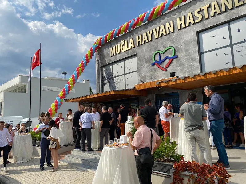 MUĞLA HAYVAN HASTANESİ foto 2