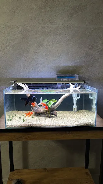 Patilidost Petshop&Lotus Aquatic foto 2
