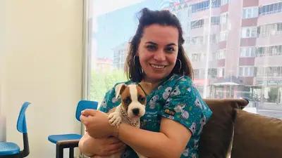TATVAN PATİ PET VETERİNER KLİNİĞİ