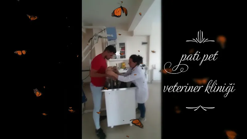 TATVAN PATİ PET VETERİNER KLİNİĞİ foto 2