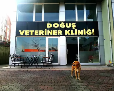 DOĞUŞ VETERİNER KLİNİĞİ