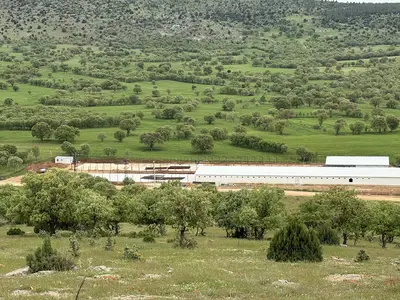 Nail Tunç Veteriner Hekim