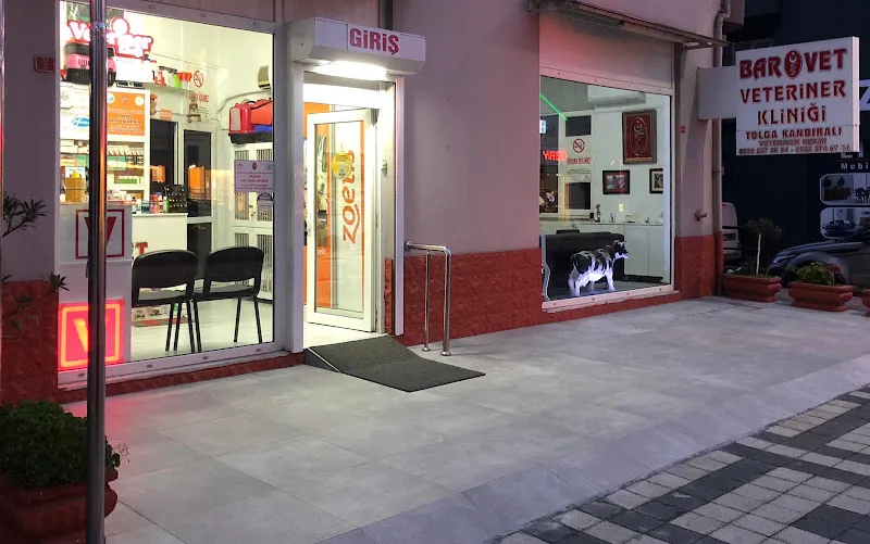 AYVET VETERİNER KLİNİĞİ - Veteriner Hekim Hüseyin DURGUT foto 1