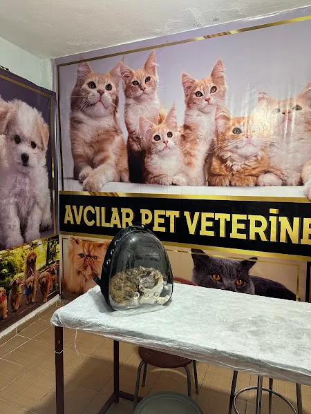 Avcilar Pet Veteriner Kliniǧi foto 1
