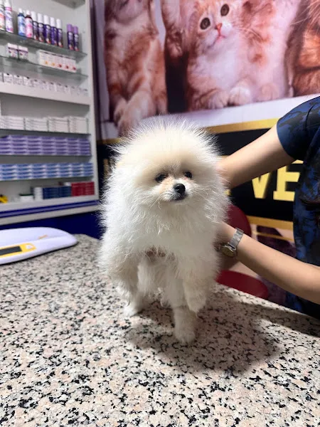Avcilar Pet Veteriner Kliniǧi foto 2