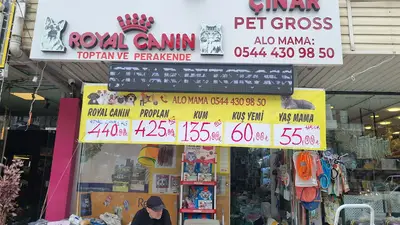 Çınarpetgross (sanatoryum)