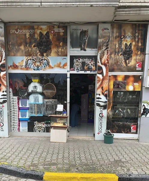Enes Akvaryum & Petshop foto 1