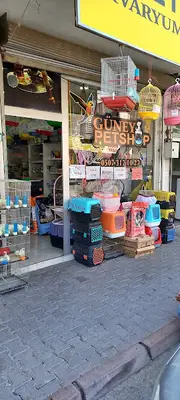 Güney Petshop