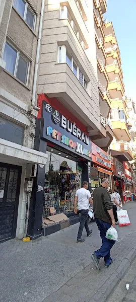 BUĞRAM PET SHOP XLarge "Pet Kuaför foto 1