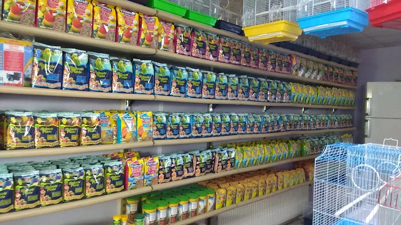 Blue Water Pet Shop foto 2