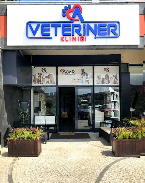 ACAR VETERİNER KLİNİĞİ - BAHÇEŞEHİR - İSTANBUL foto 2