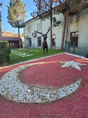 Geyikli Belediyesi
