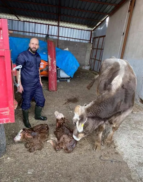 Çakın Veteriner Kliniği foto 1