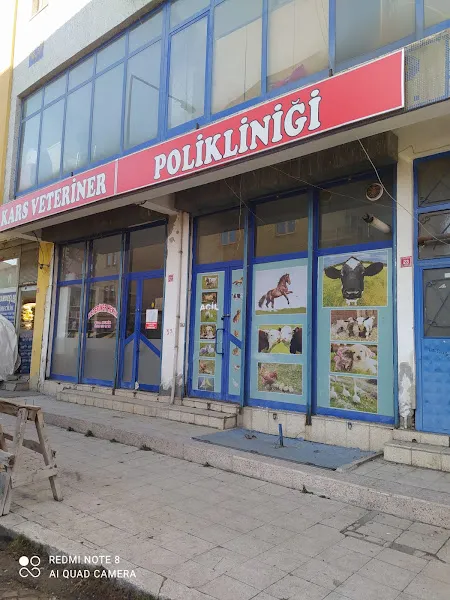 kars veteriner polikliniği foto 2