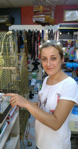 Platin Akvaryum foto 2