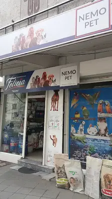Nemo Akvaryum Balık