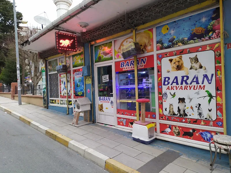 Baran Akvaryum foto 1