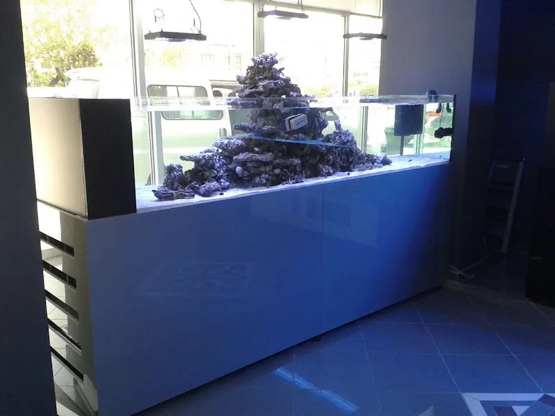 Loef Aquatics foto 2