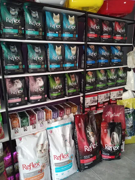 opium pet shop ve house foto 2