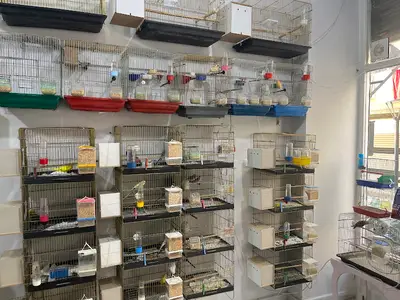 Arslan Petshop